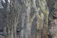 Am Römerbrunnen