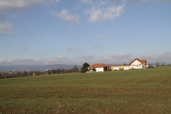 Landwirtschaft