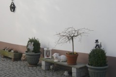 Stein-Kunst