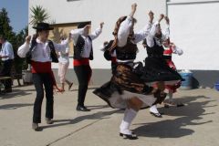 IMG_5604_cr