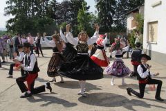 IMG_5788_cr