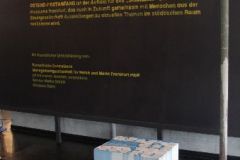 010-IMG_6324_cr1