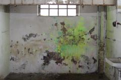 P_IMG_6424_oS1