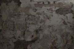 P_IMG_6443_oS1