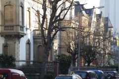W-IMG_3382_oS