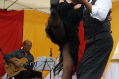 IMG_6899_cr_500