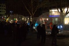 IMG_1331_500