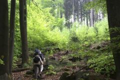 Weg zu den Felsen