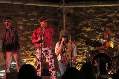 IMG_2335_cr_500