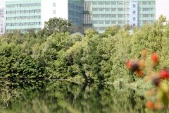 Schmitt'sche Grube mit Industriepark