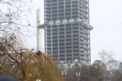 IMG_2695_500