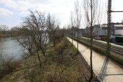 Fußweg am Main