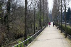 19-IMG_8154_cr_800