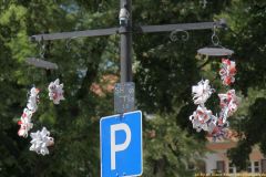 16-IMG_2632_cr_600