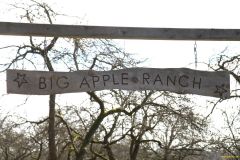 02-Big-Apple-Ranch-IMG_1673_800