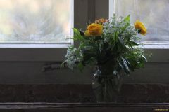16-IMG_3333_cr_800