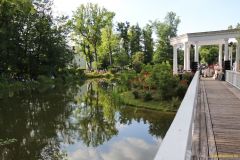 11-IMG_1971_cr-800