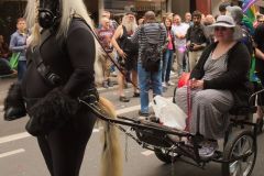 IMG_2406-1_cr-800