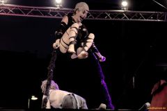IMG_2693_cr-800