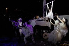 IMG_2841_cr-800