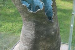 Geel-Susan-RaumweltenIV-B-2017-IMG_4097-_800