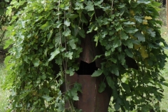 121-Innere-Trauer-Stepan-K.-Mueller-IMG_8058_cr_800