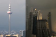 08-IMG_7435_1kk_800