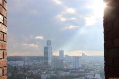 41-IMG_7378_cr_800
