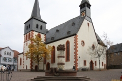 11-IMG_4093-1_800