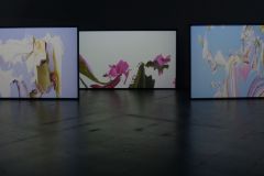 IMG_5246-1_800