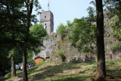 IMG_6201_800