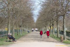 11-IMG_5381_Sgn
