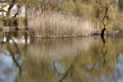 12-IMG_5384_Sgn