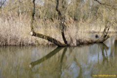 13-IMG_5386_Sgn