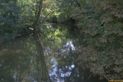 52-Nidda-IMG_0515-1_1500