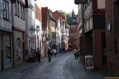 31-Altstadt-IMG_3498_800