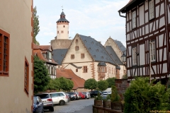 51-Schloss-IMG_3529_cr_800