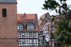61-IMG_3559_cr_800