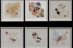 24-Judy-Dodd-Sampler_800