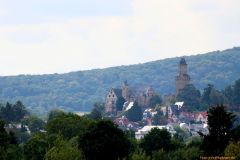 01-IMG_7571k_800