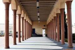 03-IMG_7425-R_cr_800