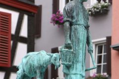 34-IMG_7494-R_cr_800
