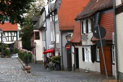 35-IMG_7498-R_cr_800