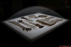 23-IMG_0459_cr_800