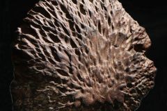 03-IMG_0498_crfrei_800