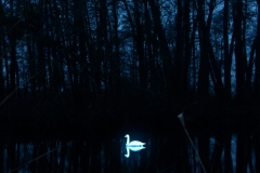 CYGNUS-┬®-loomaland.com_Luminale2020