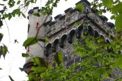 513-IMG_1649-1_800Sign