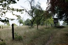 521-IMG_1249k_800Sign