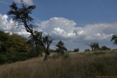 522-IMG_1251_2_3_800Sign