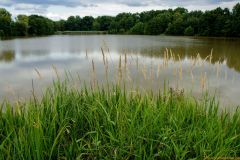 213-IMG_0568_1200
